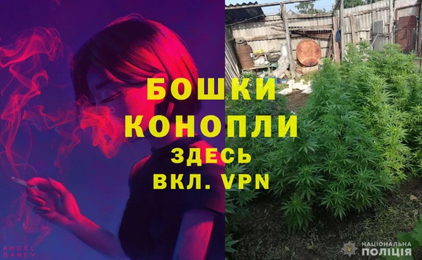 тгк Магадан