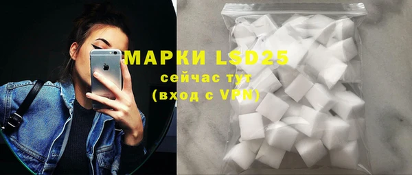 гидра Новодвинск