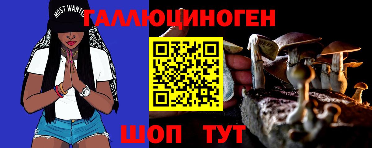 Псилоцибиновые грибы Psilocybine cubensis Ишимбай